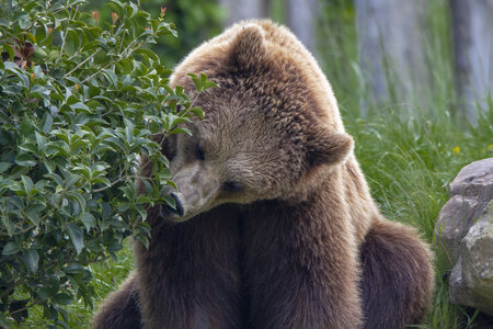 28-04-24_zoo-de-beauval, _MG_1388