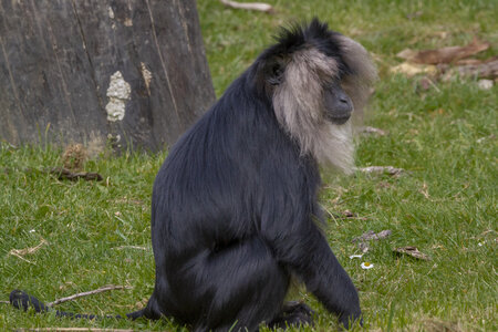 28-04-24_zoo-de-beauval, _MG_1397