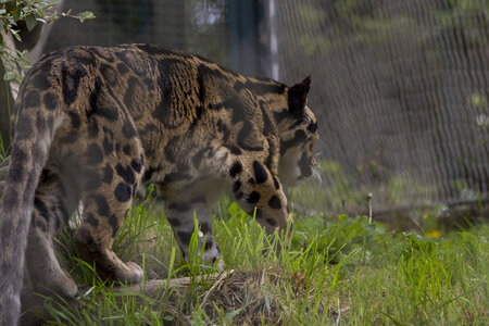 28-04-24_zoo-de-beauval, _MG_1398