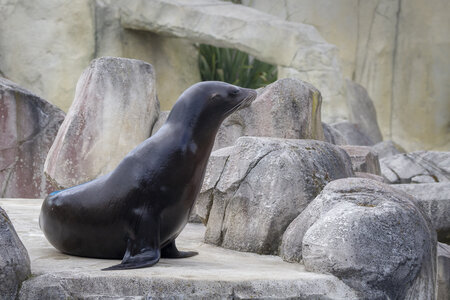 28-04-24_zoo-de-beauval, _MG_1405