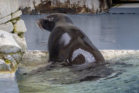28-04-24_zoo-de-beauval, _MG_1408