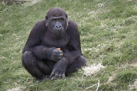 28-04-24_zoo-de-beauval, _MG_1419