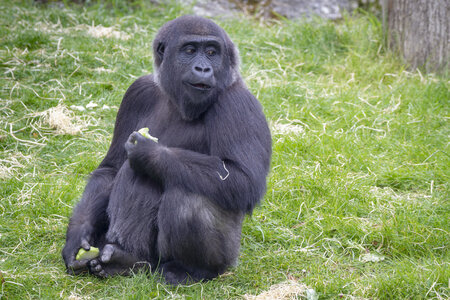 28-04-24_zoo-de-beauval, _MG_1436