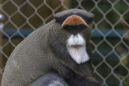 28-04-24_zoo-de-beauval, _MG_1580