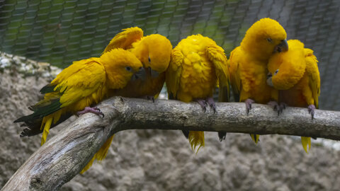 28-04-24_zoo-de-beauval, _MG_1586-Modifier