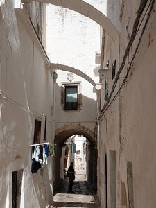 LES POUILLES AVEC VAGUES DE SOLEILS, 0150