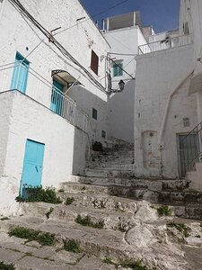 LES POUILLES AVEC VAGUES DE SOLEILS, 0162