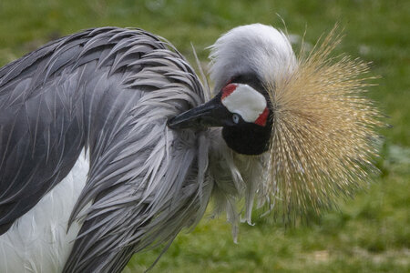 25-04-24_parc-des-oiseaux, _MG_0634
