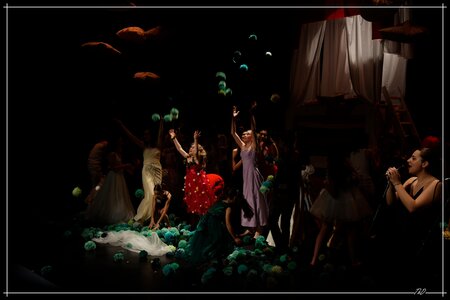 La princesse au petit pois Pornic 2024, THD_9963-100-