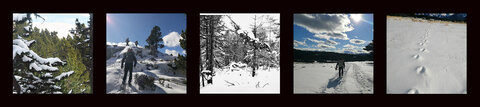 Photos du Carnaval, Neige