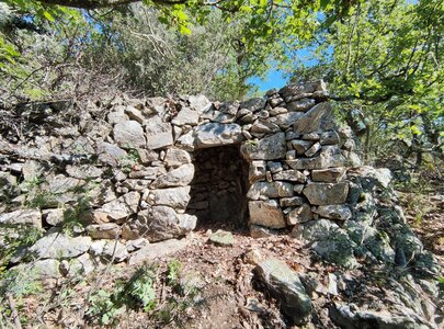 Les Orris de Campoussy, 53.Orri_53