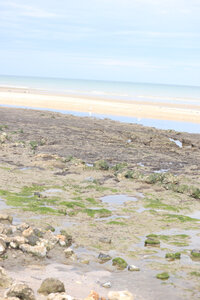 20220906 De Honfleur à Trouville-sur-Mer, IMG_3773 Entre Pennedepie et Cricqueboeuf