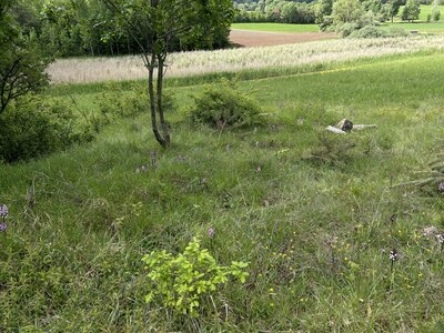 Tour des Colins, IMG_3303