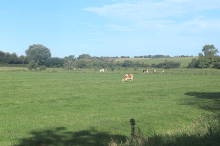 20220912 De Vierville-sur-Mer à Isigny-sur-Mer, IMG_4052 Le bocage entre Cricqueville-en-Bessin et Grandcamp-Maisy