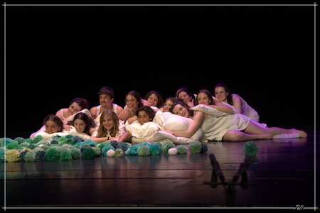 la princesse au petit pois : Danseurs, THD_0546