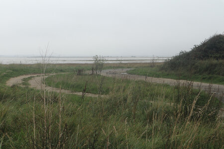 20220914 De Carentan-les-Marais à Utah Beach, IMG_4144 La baie des Veys au Grand-Vey
