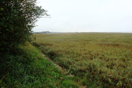 20220914 De Carentan-les-Marais à Utah Beach, IMG_4149 La baie des Veys et les marais entre le Grand-Vey et Le Taret
