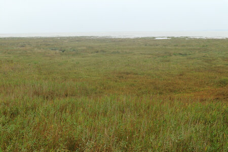 20220914 De Carentan-les-Marais à Utah Beach, IMG_4150 La baie des Veys et les marais entre le Grand-Vey et Le Taret