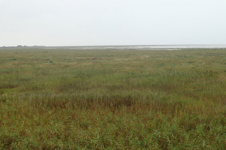 20220914 De Carentan-les-Marais à Utah Beach, IMG_4151 La baie des Veys et les marais entre le Grand-Vey et Le Taret