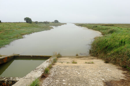 20220914 De Carentan-les-Marais à Utah Beach, IMG_4153 La traversée de la Grande Crique