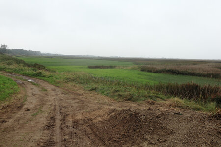 20220914 De Carentan-les-Marais à Utah Beach, IMG_4154 Entre Le Taret et Beauguillot