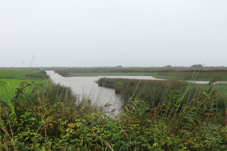 20220914 De Carentan-les-Marais à Utah Beach, IMG_4155 Entre Le Taret et Beauguillot