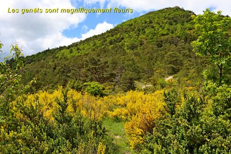Orpierre dans tous ses états, Orpierre dans tous ses états 050