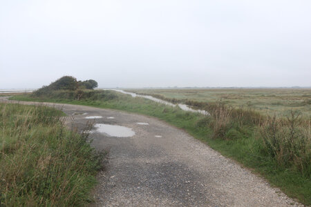 20220914 De Carentan-les-Marais à Utah Beach, IMG_4142 La baie des Veys au Grand-Vey
