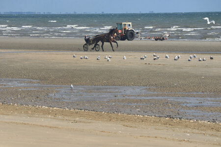 20220915 De Utah Beach à Sainte-Mère-Eglise, IMG_4184 Utah Beach à Sainte-Marie-du-Mont
