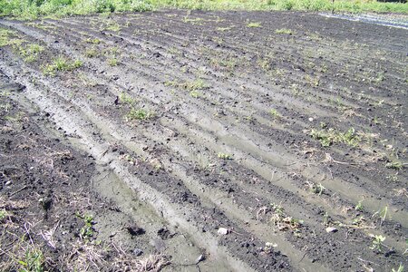 après la pluie, les terres sont encore détrempées