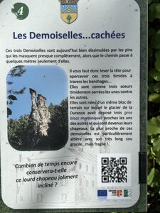 Bas col Demoiselles coiffées Remollon AR, IMG_3333