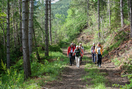 Les demoiselles coiffées de Remollon le 28 mai 2024, DSC_0010