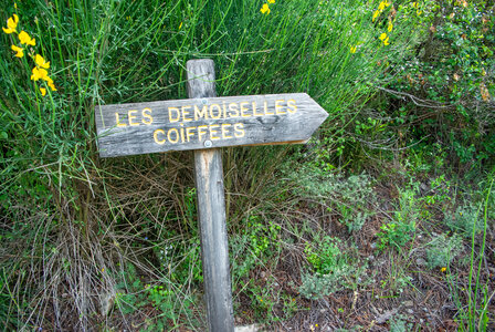 Les demoiselles coiffées de Remollon le 28 mai 2024, DSC_0042