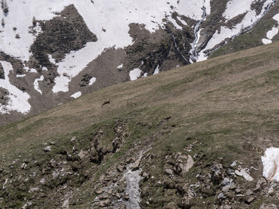 28-05-24_lac de la Confrérie, _1095562