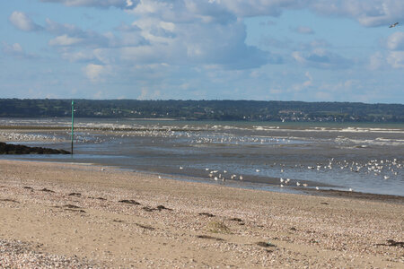 20220916 De Sainte-Mère-Eglise à Quinéville, IMG_4264 Plage de Quinéville