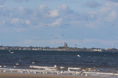 20220916 De Sainte-Mère-Eglise à Quinéville, IMG_4267 Saint-Vaast depuis la plage de Quinéville