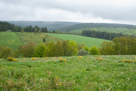 LES CEVENNES 1er jour le 21 mai 2024 Les sources du LOT, DSC_0030