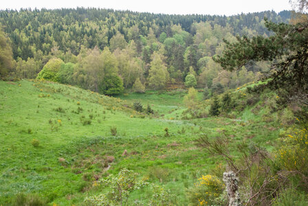 LES CEVENNES 1er jour le 21 mai 2024 Les sources du LOT, DSC_0052