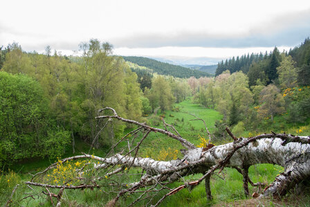 LES CEVENNES 1er jour le 21 mai 2024 Les sources du LOT, DSC_0070