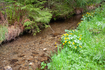 LES CEVENNES 1er jour le 21 mai 2024 Les sources du LOT, DSC_0094