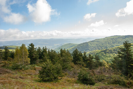 LES CEVENNES 2ème jour le 22 mai 2024 Le mont Lozère et le sommet de Finiels, DSC_0123