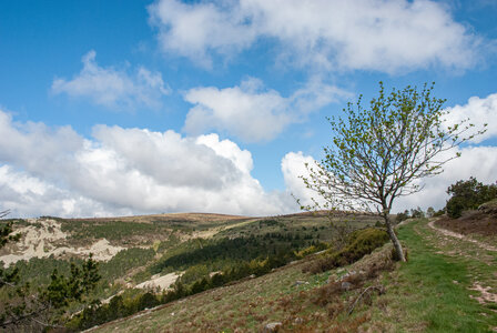 LES CEVENNES 2ème jour le 22 mai 2024 Le mont Lozère et le sommet de Finiels, DSC_0161