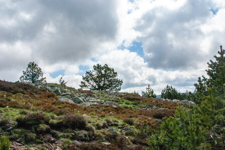 LES CEVENNES 2ème jour le 22 mai 2024 Le mont Lozère et le sommet de Finiels, DSC_0162