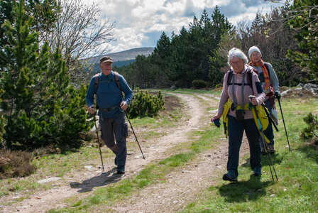 LES CEVENNES 2ème jour le 22 mai 2024 Le mont Lozère et le sommet de Finiels, DSC_0173