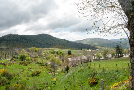 LES CEVENNES 2ème jour le 22 mai 2024 Le mont Lozère et le sommet de Finiels, DSC_0235