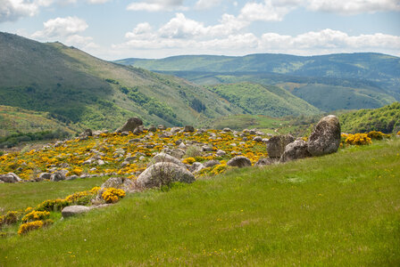 LES CEVENNES 2ème jour le 22 mai 2024 Le mont Lozère et le sommet de Finiels, DSC_0240