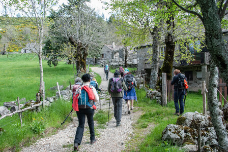 LES CEVENNES 4ème jour le 24 mai 2024 De Felgérolles au pont du Tarn, DSC_0565