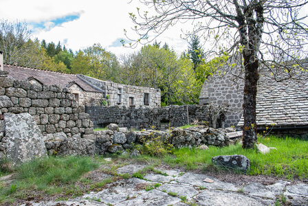 LES CEVENNES 4ème jour le 24 mai 2024 De Felgérolles au pont du Tarn, DSC_0566