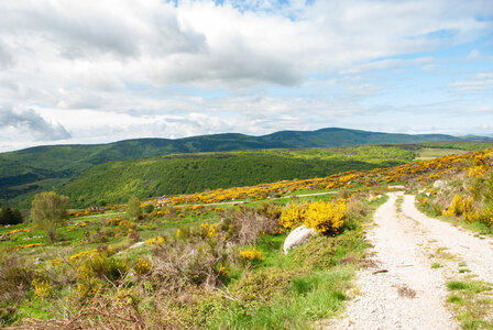 LES CEVENNES 4ème jour le 24 mai 2024 De Felgérolles au pont du Tarn, DSC_0580