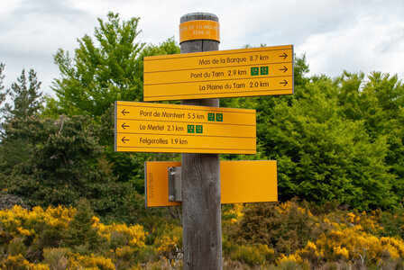 LES CEVENNES 4ème jour le 24 mai 2024 De Felgérolles au pont du Tarn, DSC_0586